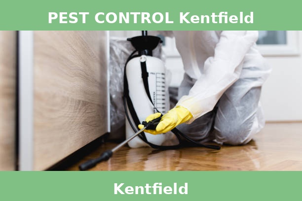 PEST CONTROL Kentfield